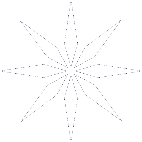ION Star