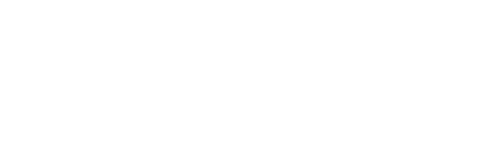 Online+ Logo